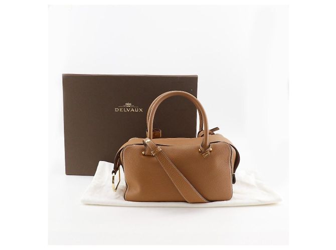 Borsa a mano Delvaux Cool Box MM in vitello - vista 18
