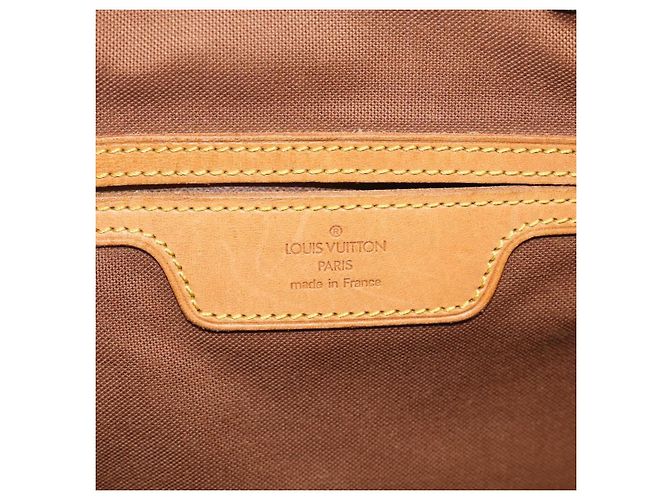 Louis Vuitton Flanerie Monogram Canvas 45 - vista 6