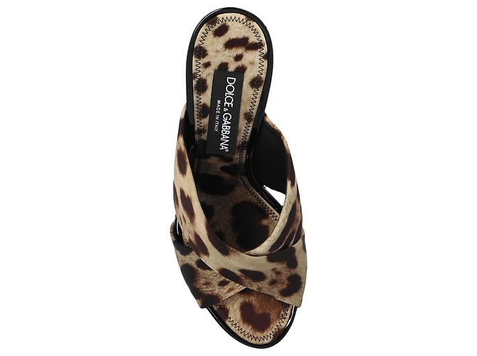 Dolce & Gabbana Heeled Slides Leopardato Marrone Beige - vista 4