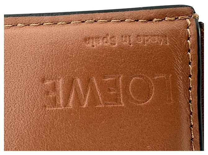 Portafoglio verticale piccolo Anagram Loewe in pelle di vitello marrone - vista 6