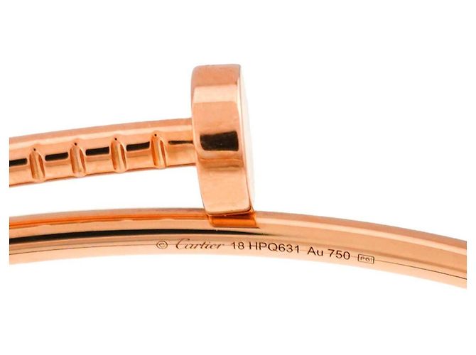 Braccialetto Charm Cartier Juste Un Clou Small SM - vista 5