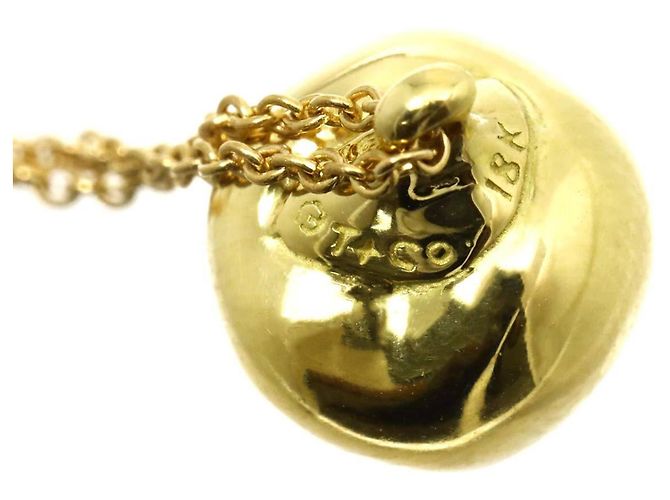 Autre Marque Collana Mela Tiffany & Co. in Oro Giallo 18K - vista 5