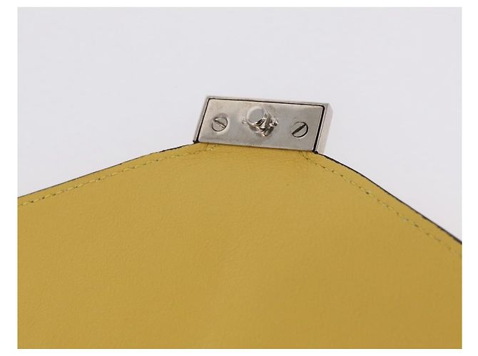 Céline CELINE Clutch Bag Suede Calfskin leather Multicolor Silver - vista 18