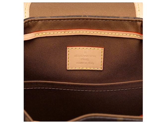 Louis Vuitton Brown Monogram Excursion PM - vista 5