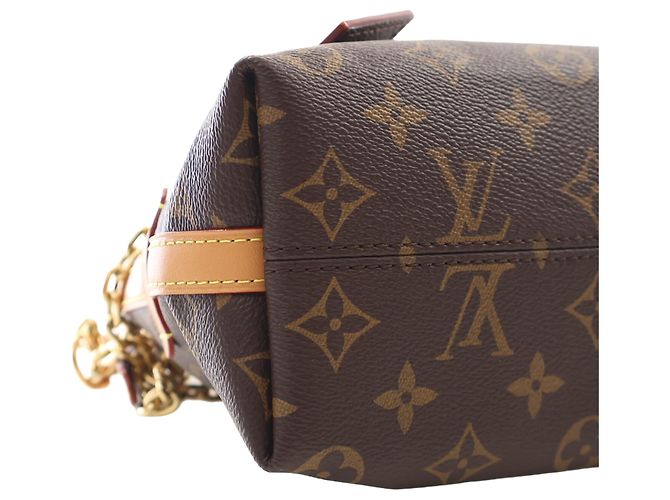 Louis Vuitton Brown Monogram CarryAll BB - vista 10