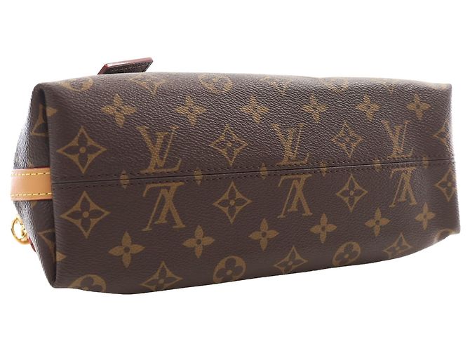 Louis Vuitton Brown Monogram CarryAll BB - vista 13
