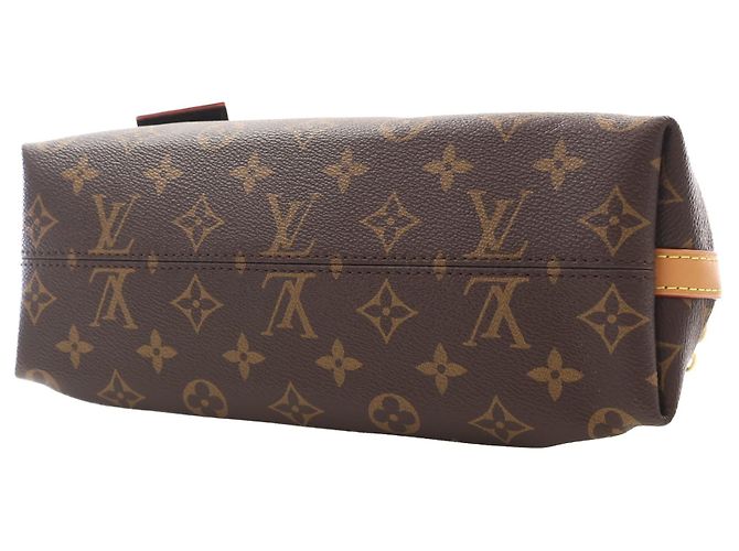 Louis Vuitton Brown Monogram CarryAll BB - vista 14