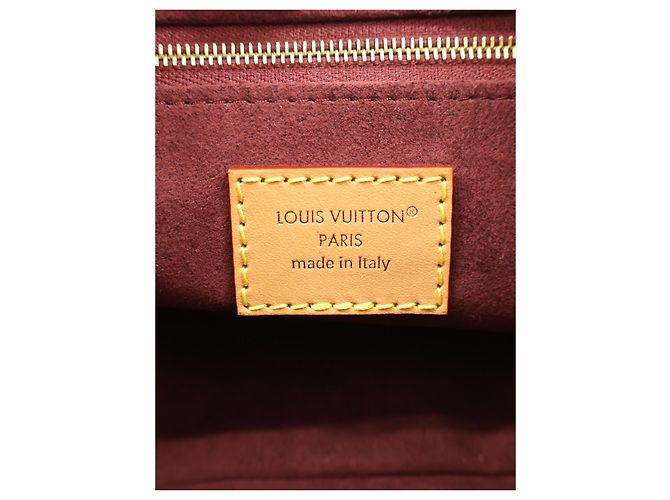 Louis Vuitton Brown Monogram CarryAll BB - vista 5