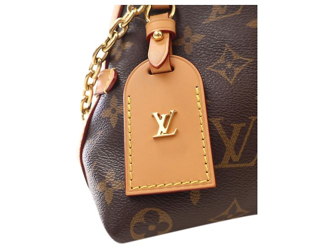 Louis Vuitton Brown Monogram CarryAll BB - vista 8