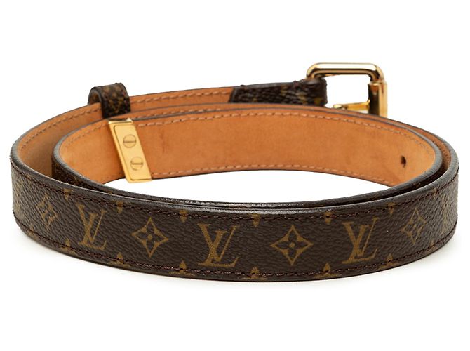 Cintura Louis Vuitton Brown Monogram Ellipse - vista 3