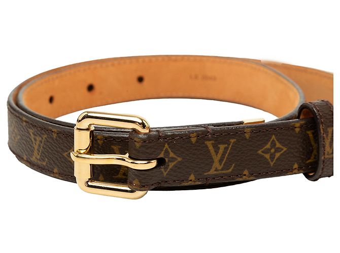 Cintura Louis Vuitton Brown Monogram Ellipse - vista 5