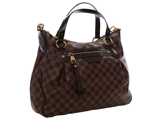 Louis Vuitton Brown Damier Ebene Evora MM - vista 13