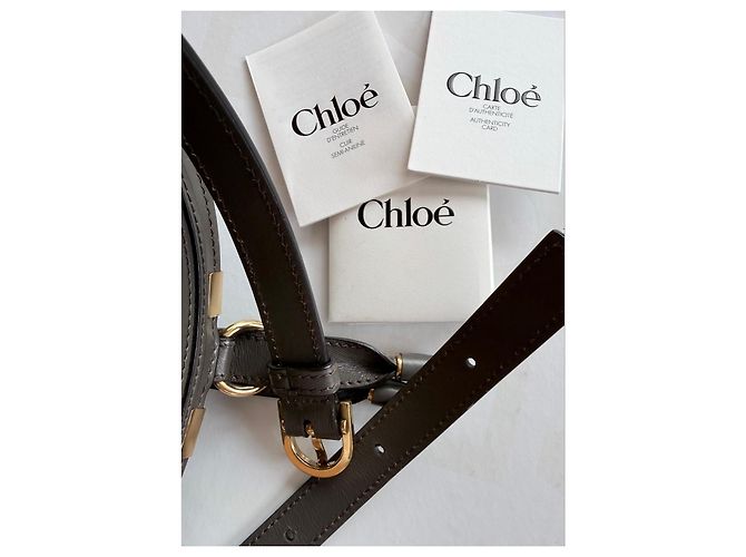Chloé Chloe Marcie Schultertasche aus grauem Leder - Ansicht 11