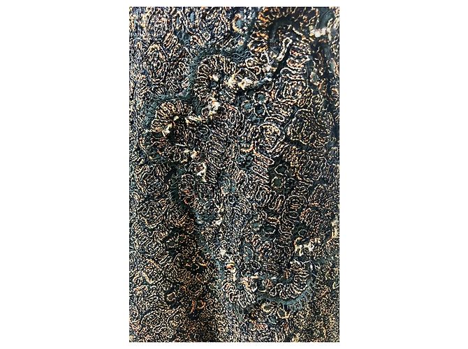 Chanel Paris-Byzance Abendkleid aus Spitze - Ansicht 10