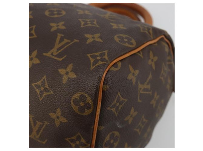 Louis Vuitton Monogram Speedy 25 Handtasche - Ansicht 10