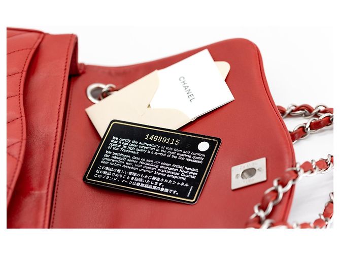 Chanel Leo / Lion Head Flap 25 cm rosso – Pelle di Agnello – Hardware Argento – Serie 14 - vista 20