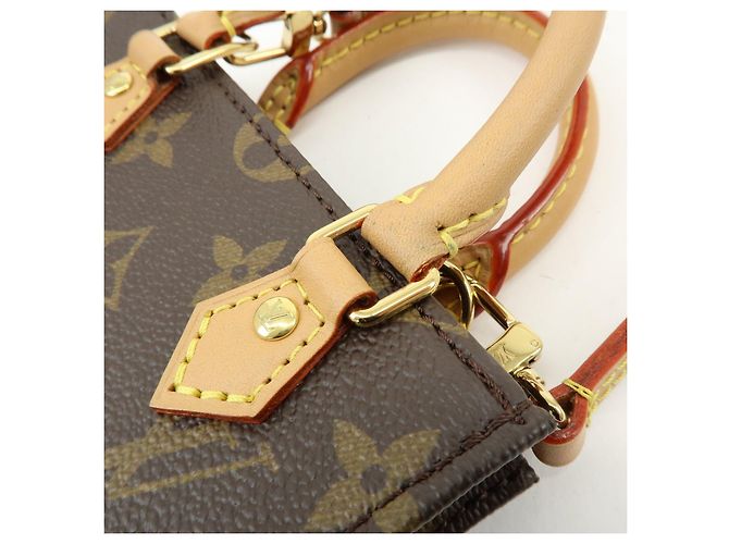Louis Vuitton Monogram Petit Sac Plat Borsa 2Way Borsa a Mano e a Spalla M69442 - vista 11
