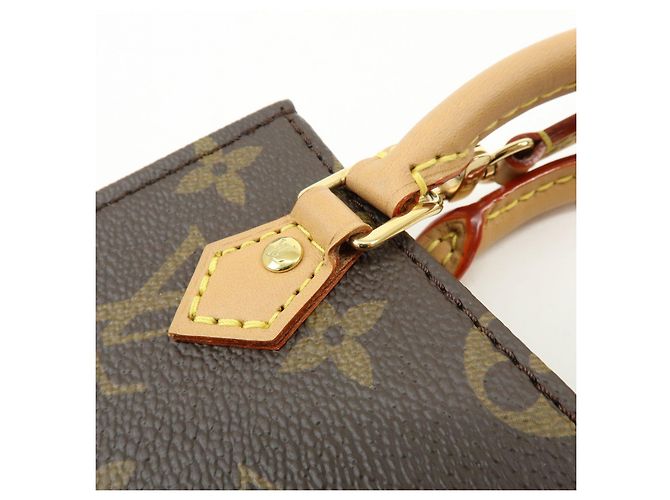 Louis Vuitton Monogram Petit Sac Plat Borsa 2Way Borsa a Mano e a Spalla M69442 - vista 12