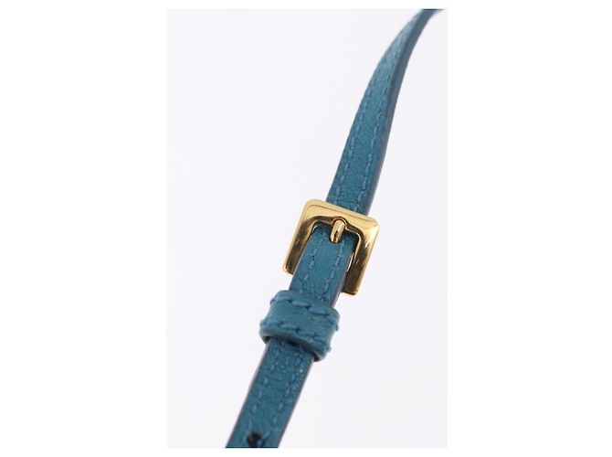 Miu Miu Madras Accessory Pouch Leather Light Blue Gold Auth 208282A - Jerrillo - vista 10