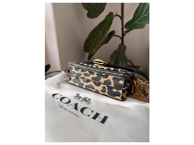 Borsa a tracolla Coach Tabby stampa leopardata - vista 3