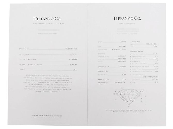 Autre Marque Orecchini a lobo solitario con diamante Tiffany & Co. - vista 9