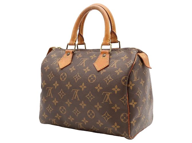 Borsa Louis Vuitton Monogram Speedy 25 - vista 3