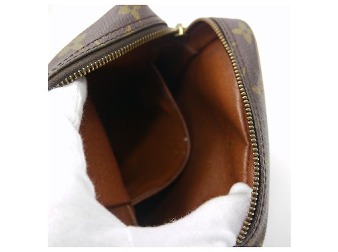 Bolsa de Ombro e Bolsa de Mão Louis Vuitton Monogram Amazon - vista 8