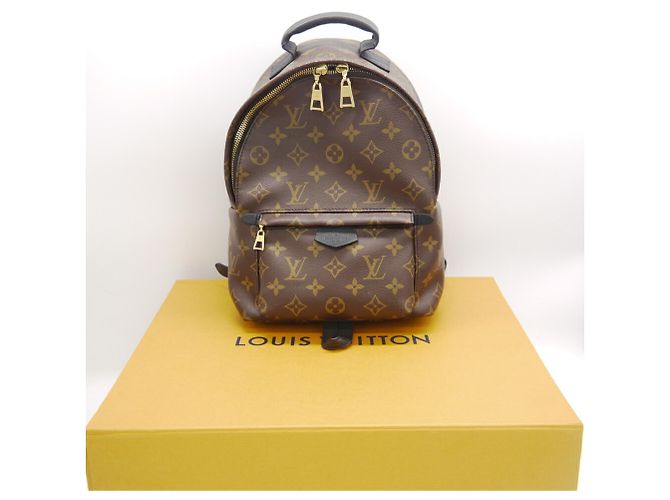 Mochila Louis Vuitton Palm Springs PM - vista 12
