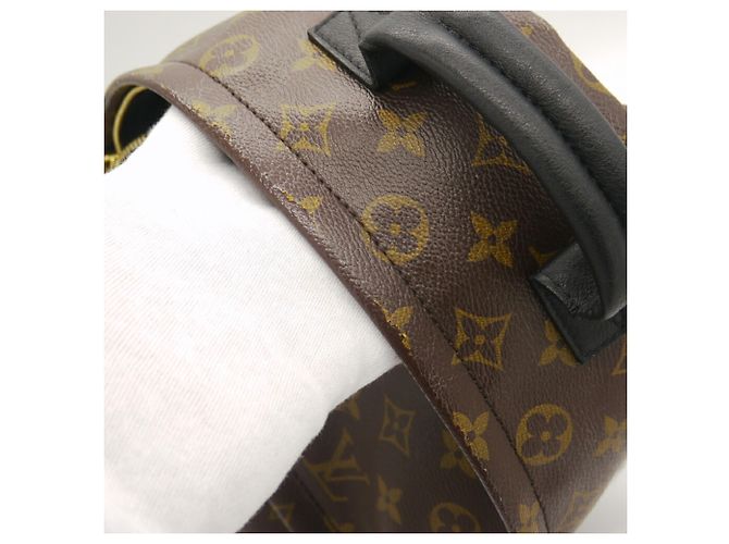 Mochila Louis Vuitton Palm Springs PM - vista 13
