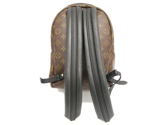Mochila Louis Vuitton Palm Springs PM - vista 2