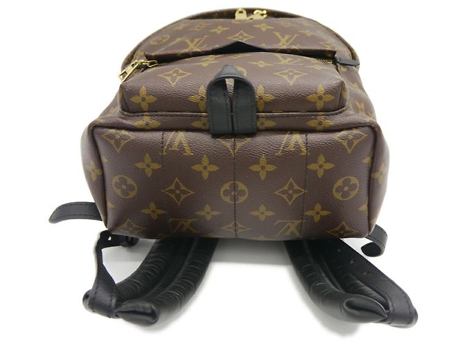 Mochila Louis Vuitton Palm Springs PM - vista 3
