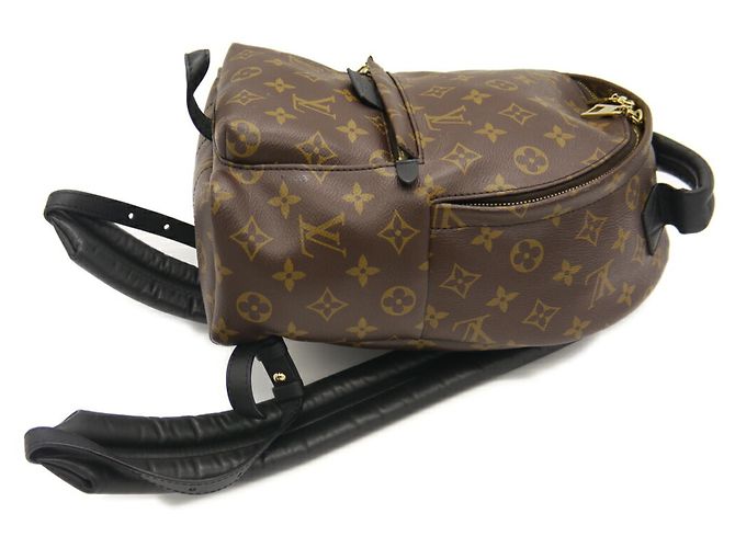 Mochila Louis Vuitton Palm Springs PM - vista 4