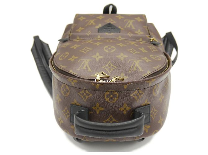 Mochila Louis Vuitton Palm Springs PM - vista 6
