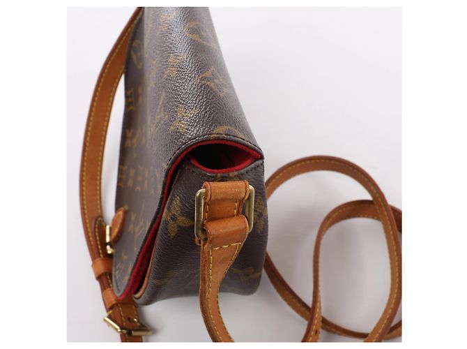 Borsa a tracolla Louis Vuitton Tanblan Monogram in marrone M51179 - vista 5