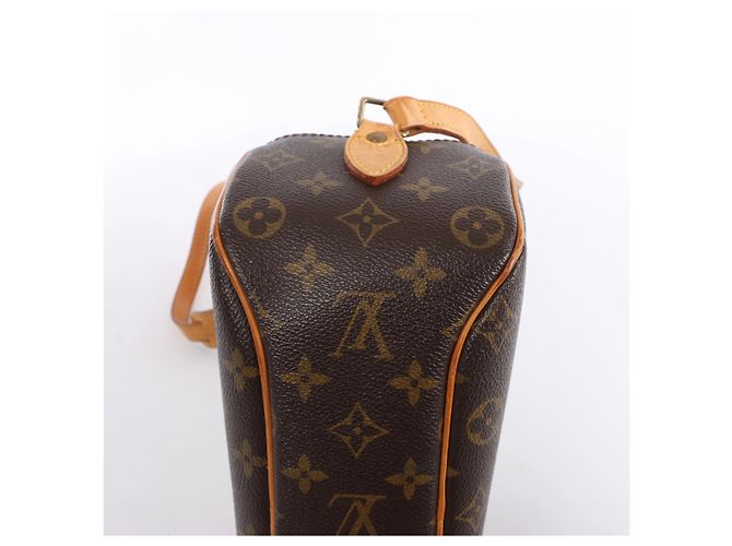 Borsa a tracolla Louis Vuitton Blois Monogram in marrone M51221 - vista 10