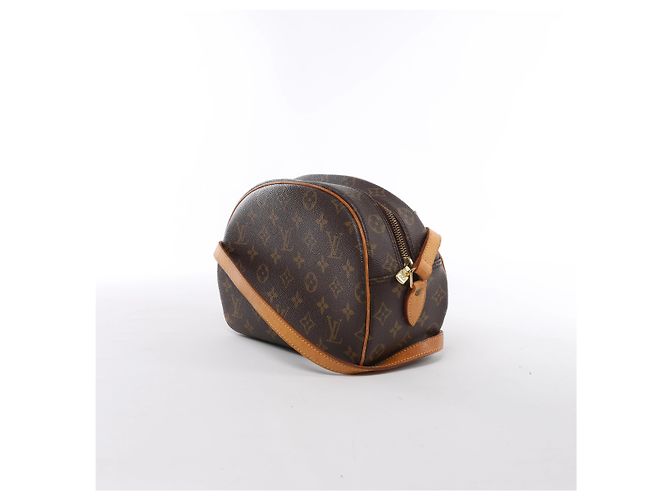 Borsa a tracolla Louis Vuitton Blois Monogram in marrone M51221 - vista 5