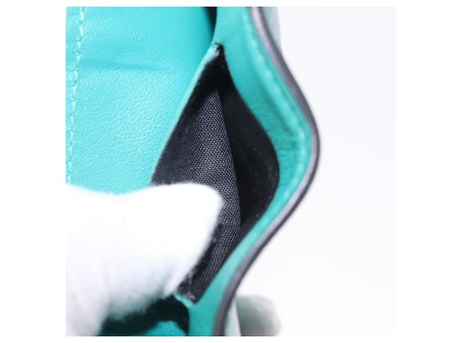 Louis Vuitton Cartera Monogram Discovery Tiger Lama Verde - vista 19