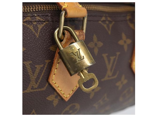 Louis Vuitton Monogram Speedy 25 Borsa a mano M41528 - vista 17
