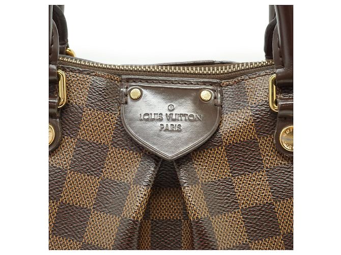 Louis Vuitton Damier Ebene Siena PM - vista 12