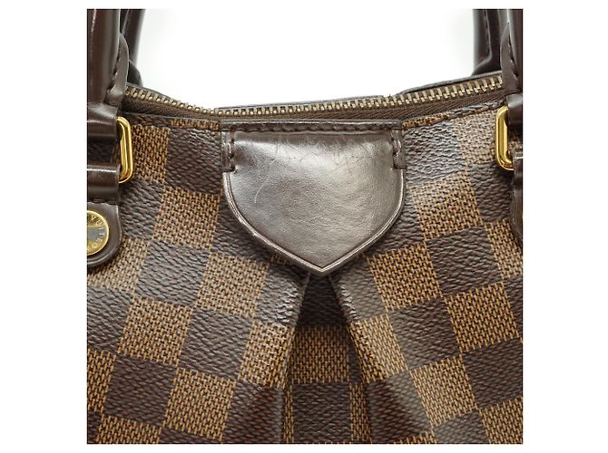 Louis Vuitton Damier Ebene Siena PM - vista 13