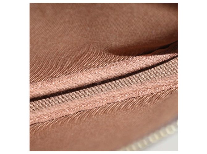 Louis Vuitton Monogram Canvas Mini Pochette Accessoires - vista 6