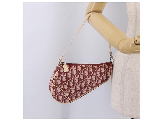 Christian Dior Trotter Canvas Saddle Accessory Pouch PVC Red Silver - view 24