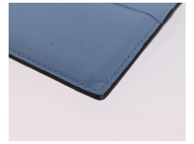 LOEWE x Studio Ghibli Little Totoro Card Case Leather Light Blue Auth 212472SAM - Jerrillo - vista 12