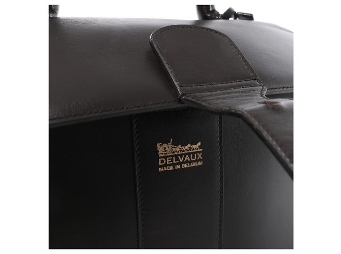 Borsa a mano Delvaux Brillant MM in pelle, Marrone - vista 14