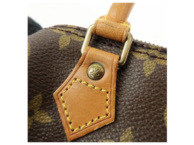 Borsa a mano Louis Vuitton Monogram Mini Speedy Brown M41534 - vista 20