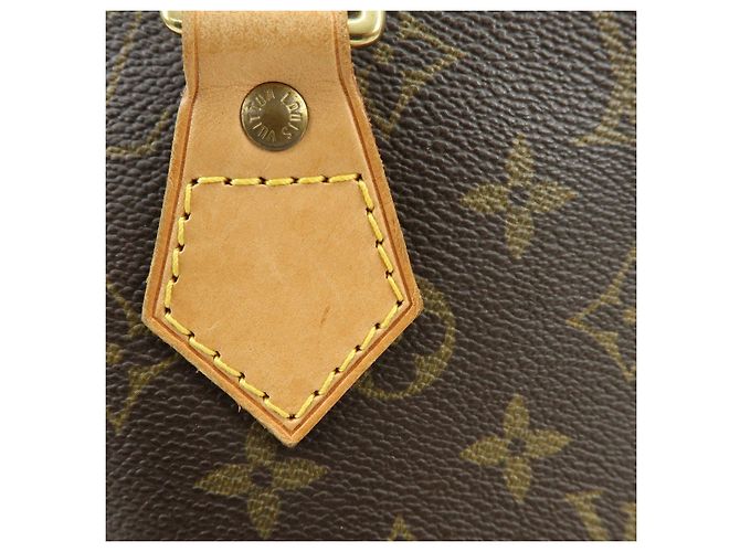 Borsa a mano Louis Vuitton Monogram Alma PM Brown M51130 - vista 12