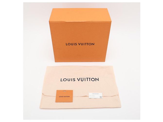Louis Vuitton Borsa a mano Alma BB in pelle Epi Bianca - vista 10