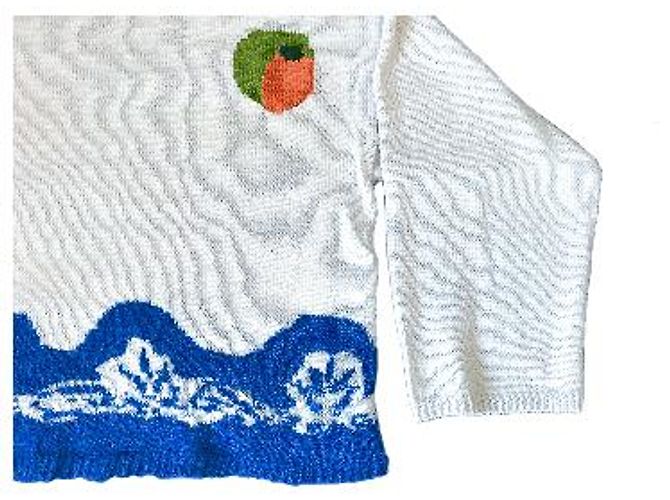 Autre Marque Strickpullover in Weiß und Blau mit abstraktem Muster - Ansicht 11