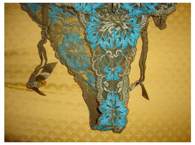Autre Marque Aubade Cueca de Renda Turquesa e Cáqui - vista 4