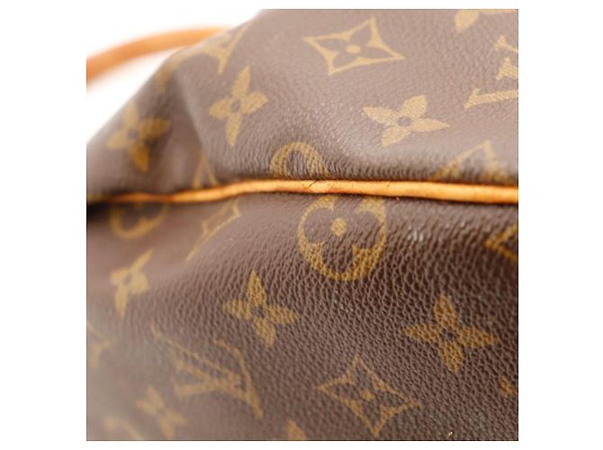 Borsa Louis Vuitton Speedy 30 Monogram Canvas - vista 12
